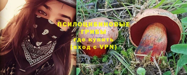 соль ск Алексеевка