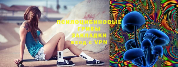 соль ск Алексеевка