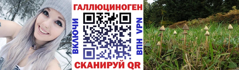 сколько стоит  Дзержинский  OMG ссылка  Галлюциногенные грибы Magic Shrooms 