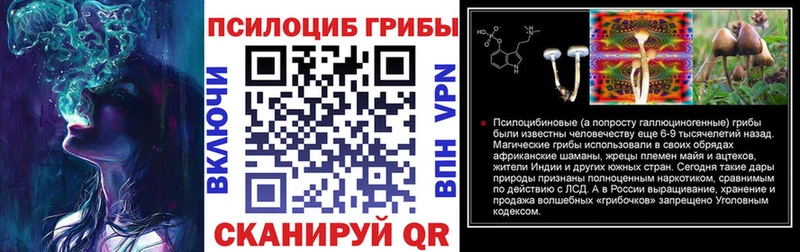 Галлюциногенные грибы GOLDEN TEACHER Дзержинский